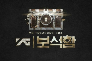 YG Treasure Box