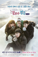 Youth Over Flowers: Iceland (2016)